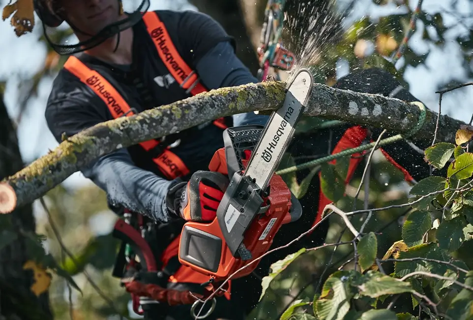 Mitarbeiter mit Handsäge