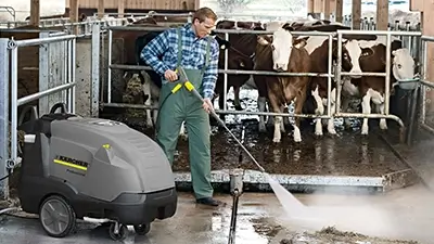 Hochdruckreiniger im Kuh-Stall
