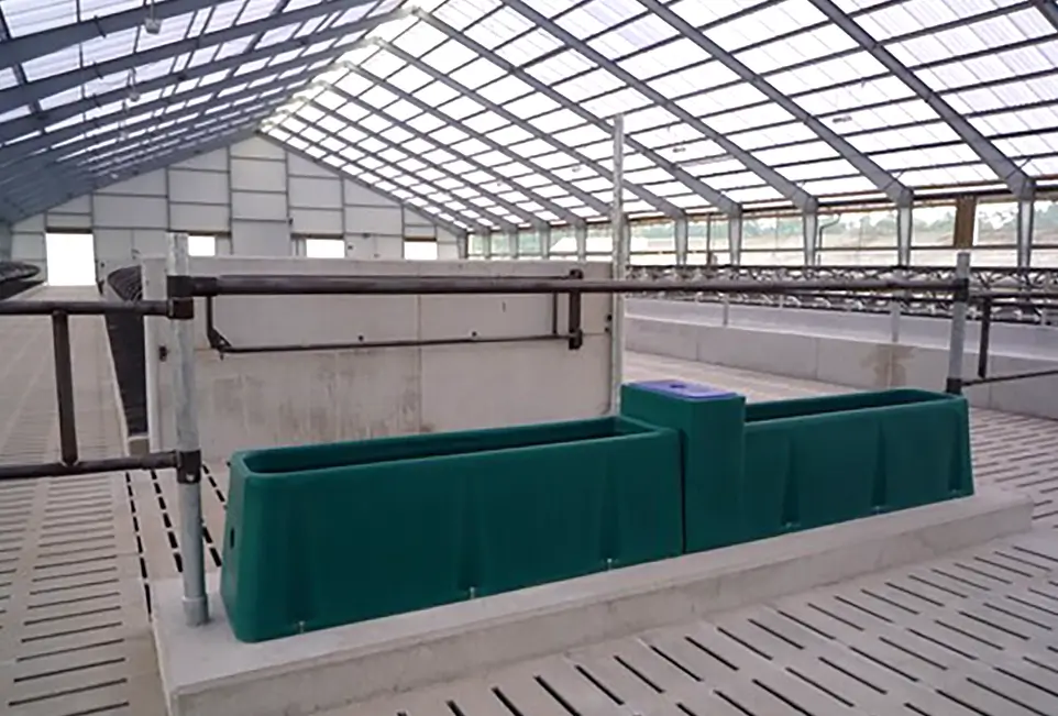 Wassertränke für Kühe im Stall