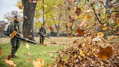 Männer mit Laubbläser bei der Landschaftspflege